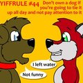 Yiffrule #44