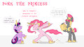 Ponk the Princess