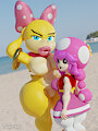 Wendy & Toadette