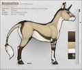 Reference - Equustra (Non-Morphic) by Unicorn