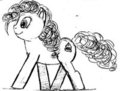 other pony like Pinkie 