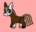 brown and white horse oc req