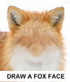 Fox face challenge
