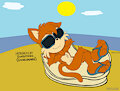 Hershey the cat sunbathing ( going orange )