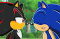 Sonic X Redraw - Secret Affection