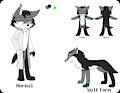 Fang The Wolf Ref by xSonadowLover103x