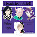 SALE : DISCOUNT HEADSHOTS!!! 15$ by TheLittleShapeshifter