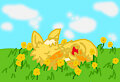 Dandy napping in the dandelions