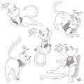 Flirtacious Feline [C] by NekoStar