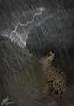 Sheltering Serval by TiifuNdona