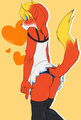 Little Orange Foxy~ 