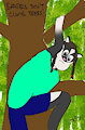 Badgers don't climb trees!