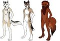 Anthro Male Adopts  by Tamnyan