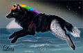 Rainbow Jump by wolfenwinter