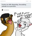 First Furry Hate Comment GET!
