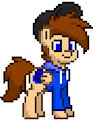 Seb the pony in Pony Town