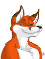 Sly Fox by Ziude
