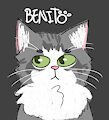 My cat Benito