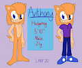 Anthony the Hedgehog Reference (2020) by LA89AnthonyHedgie