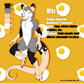 Ritz reference sheet (2020)