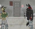 Military Muttz by LupineAssassin