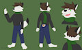 Rune The Wolf Reference Sheet by RuneGalin