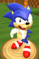 Sonic OVA