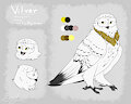 Vilver ref sheet by Hooter