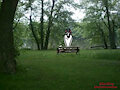 Sad Spot On Bench