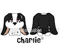 Charlie Front View and Back View