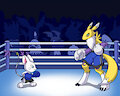 Digital Boxing Match