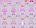 Rose Bunny (ConejoBlanco) Model Sheet by DanielMania123