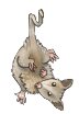 [F2U] Possum