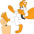Tails Karate by Fansofan