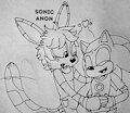 Melz x Sonic