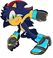 Sonic Riders - Kasi the Hedgehog