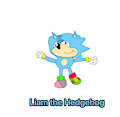 Liam the Hedgehog