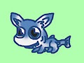 fish dog 1 anchovy