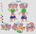 Drizzle ref sheet