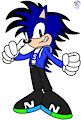 Seb the Hedgehog (new)