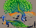 Peacock Raptor by Tahla