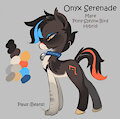 Onyx Serenade Reference by EnderFloofs