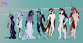 Character Height Comparisons by Ainsley