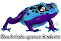 Blue poison dart frog by FuriarossaAndMimma