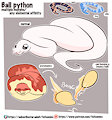 *Critter creation*_Ball python by Fuf