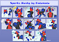 Sparks Husky Pack 1 by FeduMedu