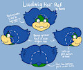 Ludwig Ref Sheet