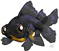 Black moore goldfish