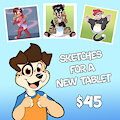 Sketches $45 for a new tablet