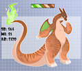 Charizard Auction [$65] by BeastlyConfections